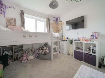 Picture 12